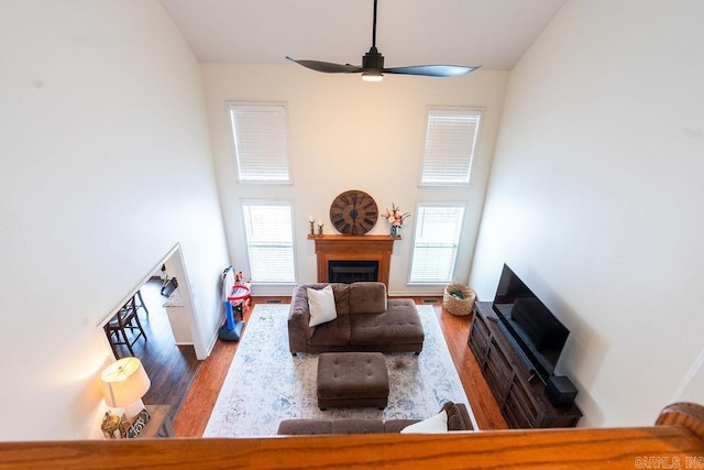 living room featuring plenty of natural light, dark hardwood / wood-style flooring, and a high ceiling