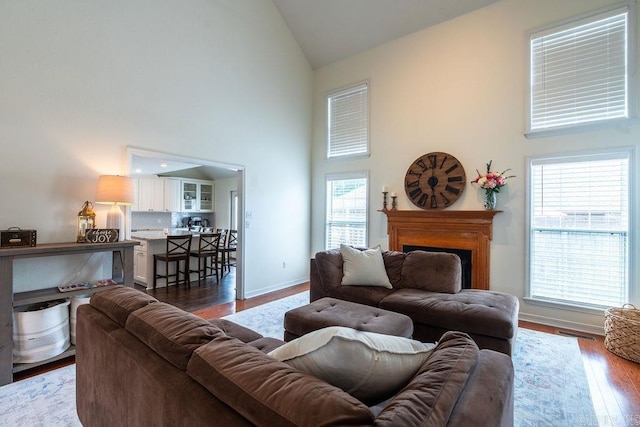 living room with hardwood / wood-style flooring and high vaulted ceiling