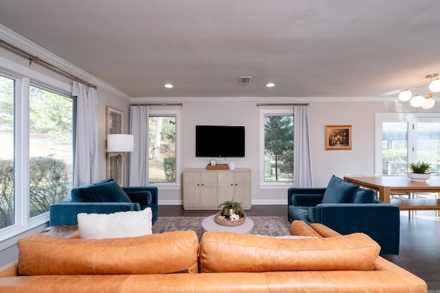 living room featuring crown molding, plenty of natural light, dark hardwood / wood-style flooring, and a notable chandelier