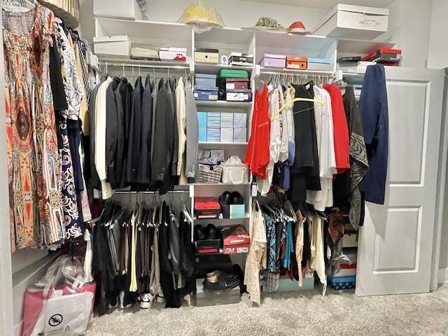 view of walk in closet