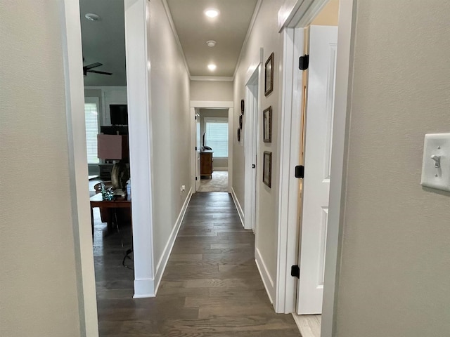 hall featuring dark hardwood / wood-style flooring and crown molding