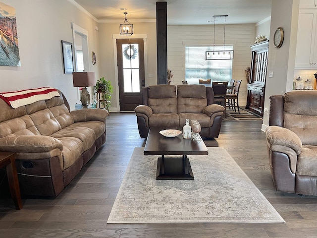 living room featuring ornamental molding and dark wood-type flooring