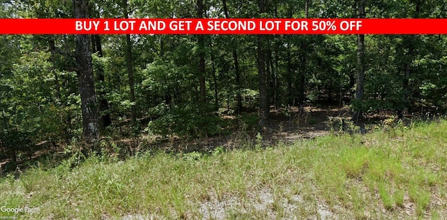 Address Not Disclosed, Cherokee Village AR, 72529 land for sale