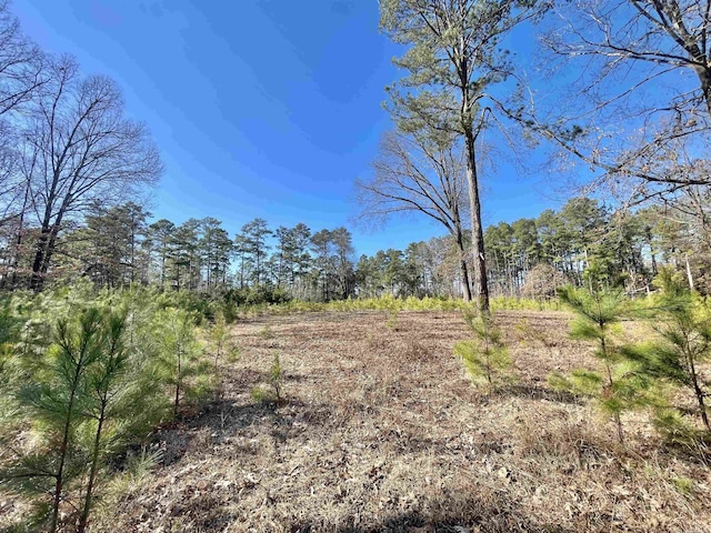 223 Southwood Dr, Camden AR, 71701 land for sale