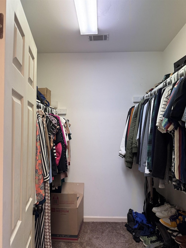 walk in closet with carpet flooring