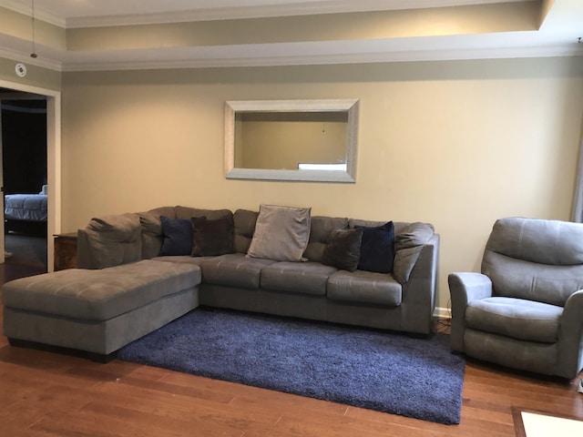 living room with hardwood / wood-style flooring, ornamental molding, and a tray ceiling