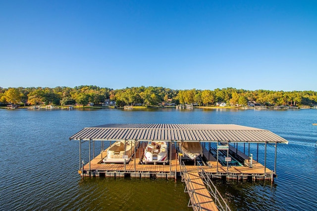 dock area with a water view