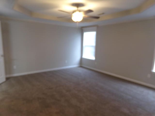 spare room with a raised ceiling, carpet, and ceiling fan