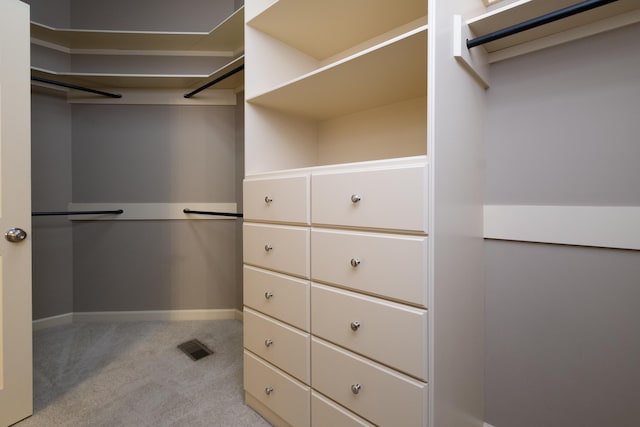 spacious closet featuring light colored carpet