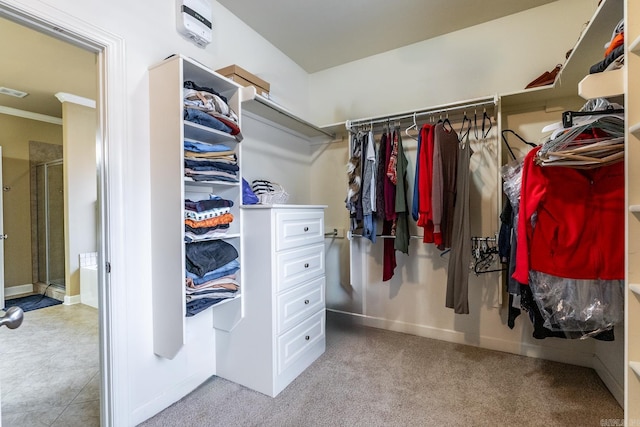 walk in closet with carpet floors