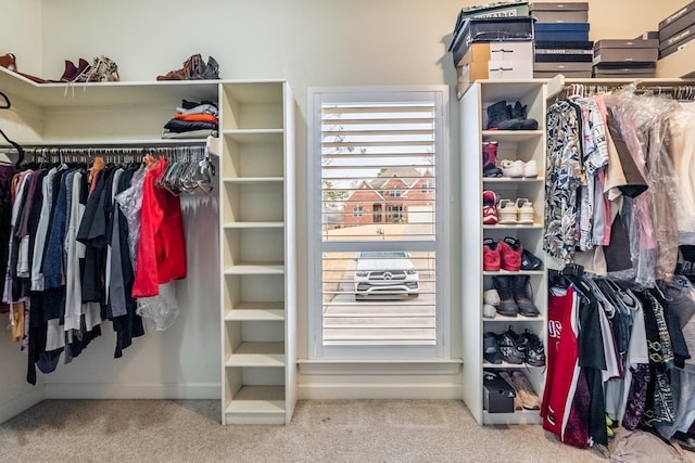 spacious closet featuring carpet floors