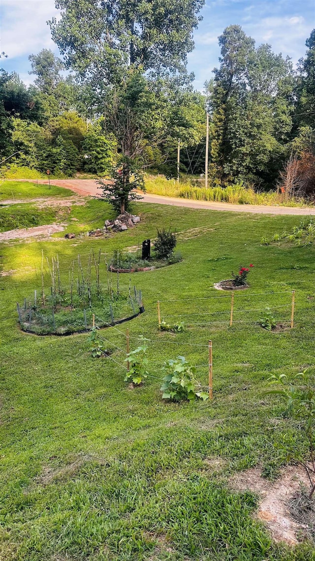 view of home's community featuring a lawn