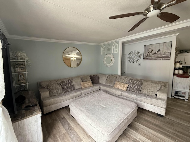 living room with ceiling fan, ornamental molding, hardwood / wood-style floors, and a textured ceiling