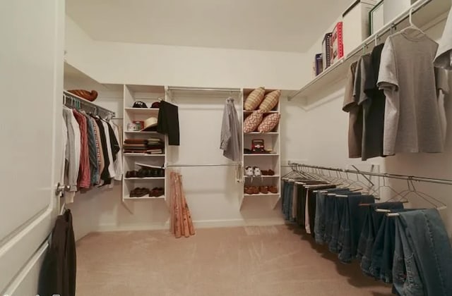 walk in closet with carpet flooring