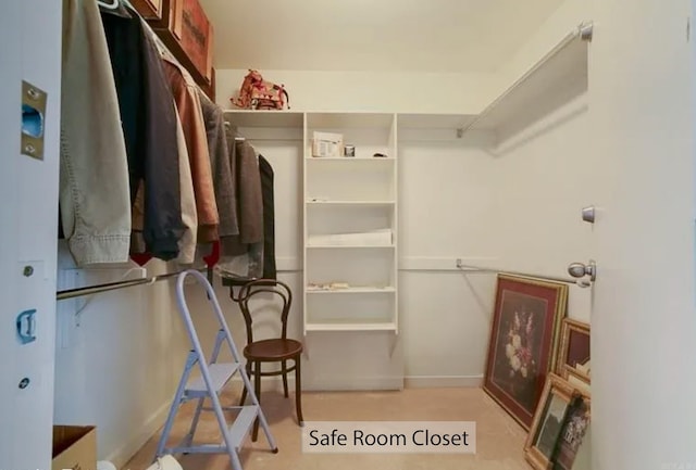 view of walk in closet