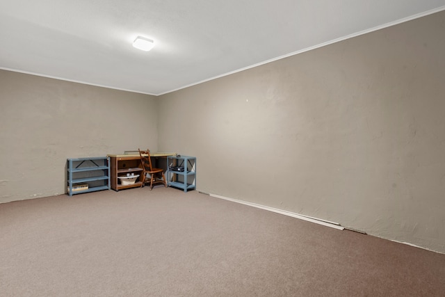 miscellaneous room with crown molding and carpet flooring