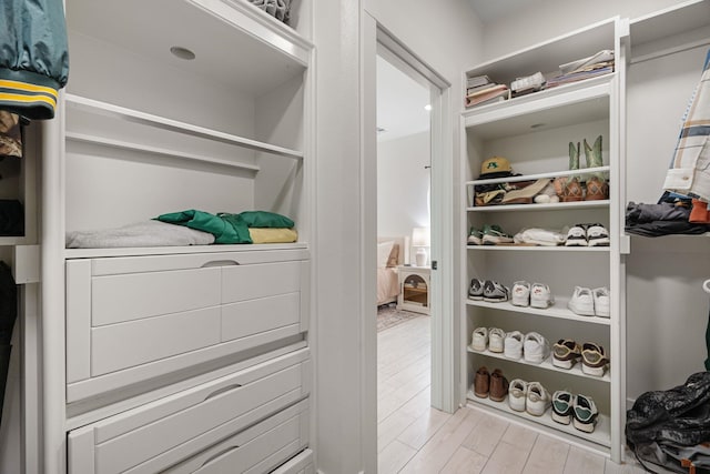 spacious closet with light wood-type flooring