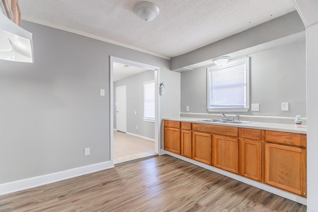 kitchen with plenty of natural light, sink, a textured ceiling, and light hardwood / wood-style floors