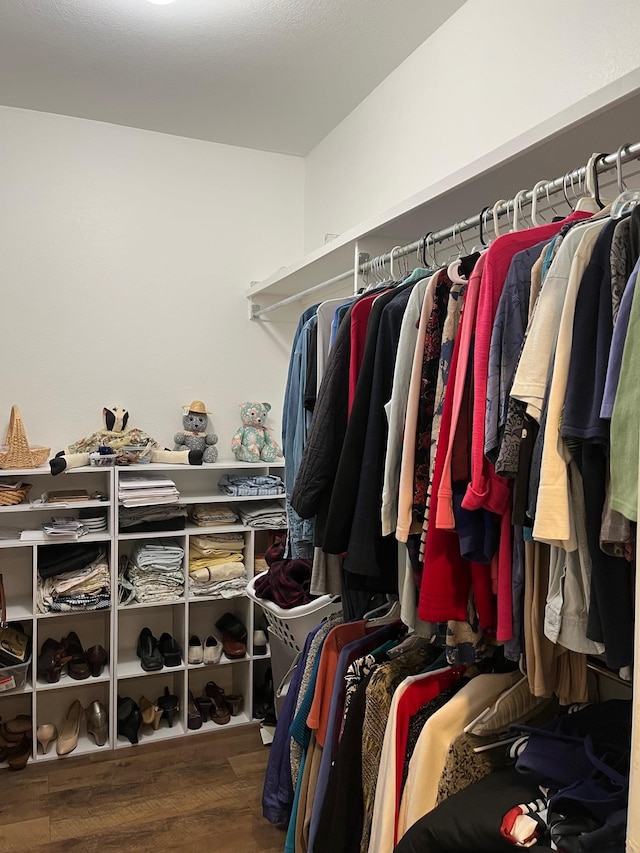 spacious closet with wood-type flooring