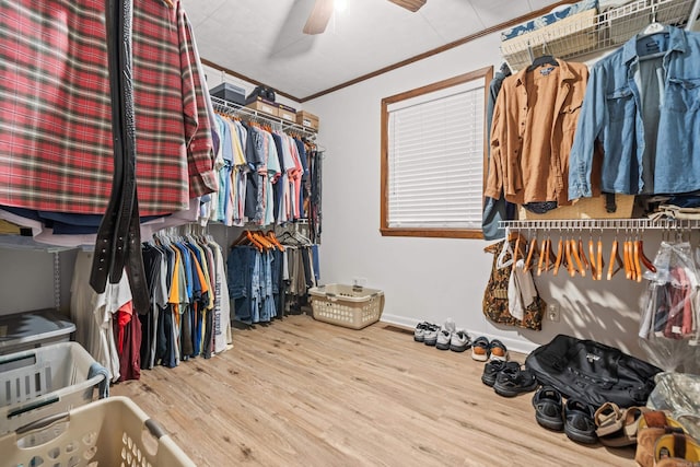 walk in closet with hardwood / wood-style flooring and ceiling fan