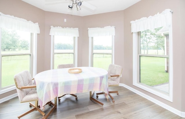 dining area featuring a wealth of natural light, light hardwood / wood-style floors, and ceiling fan