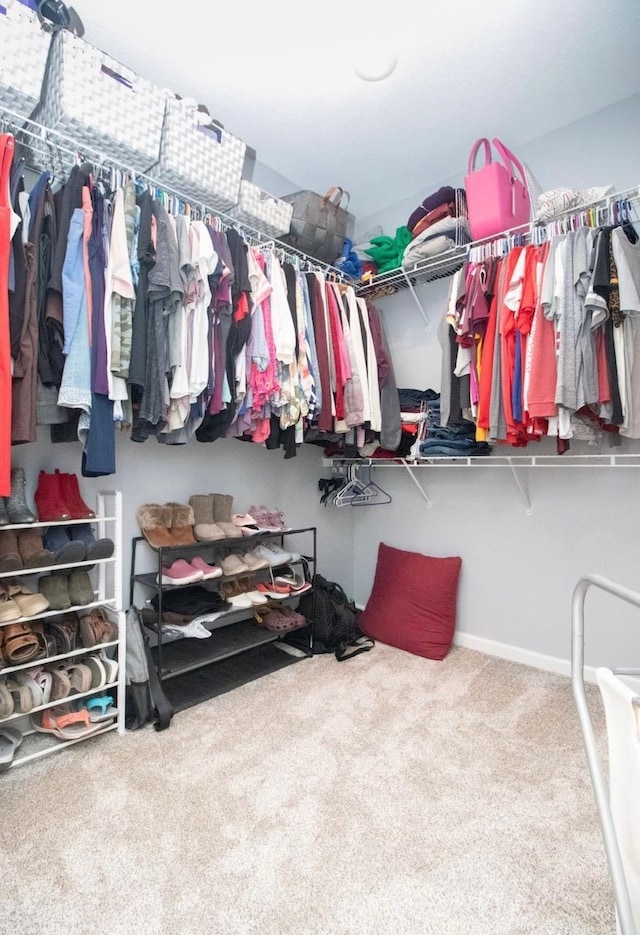 spacious closet featuring carpet