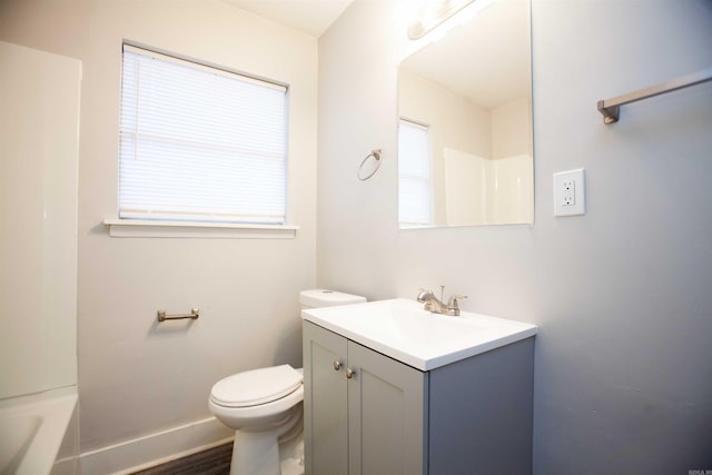 bathroom featuring vanity, toilet, and wood-type flooring