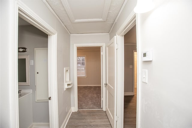 corridor with hardwood / wood-style flooring and ornamental molding