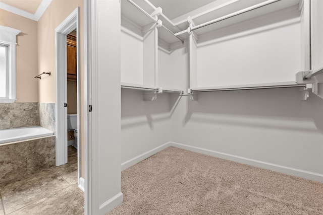 spacious closet featuring light colored carpet