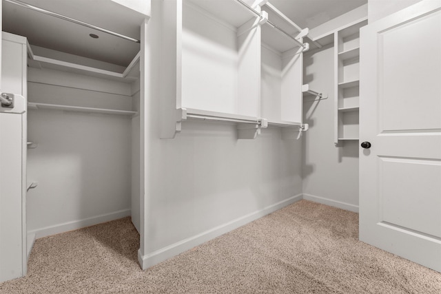 spacious closet featuring light colored carpet