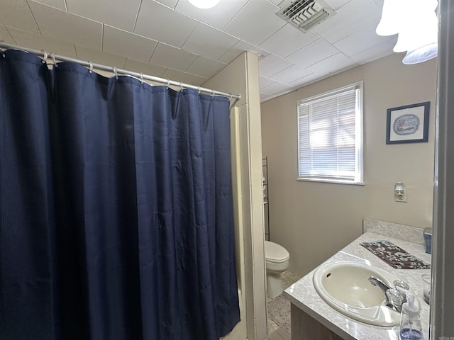 bathroom with vanity, walk in shower, and toilet