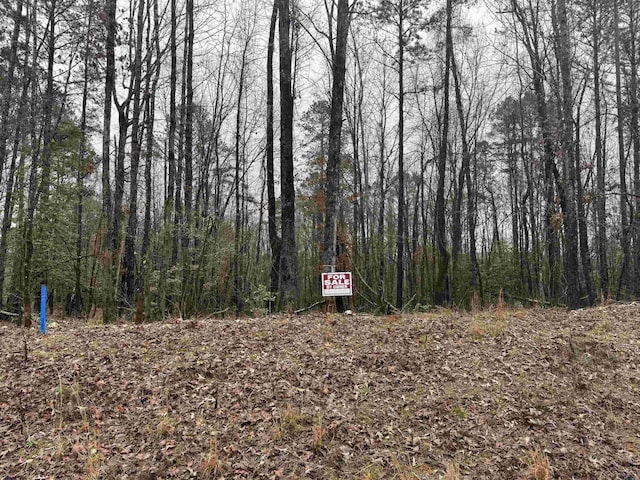 Listing photo 2 for LOT24 Williams Creek Dr, Benton AR 72019