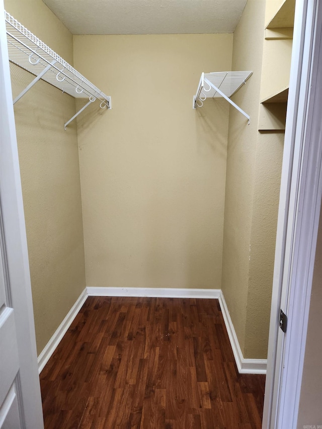 spacious closet featuring dark hardwood / wood-style flooring