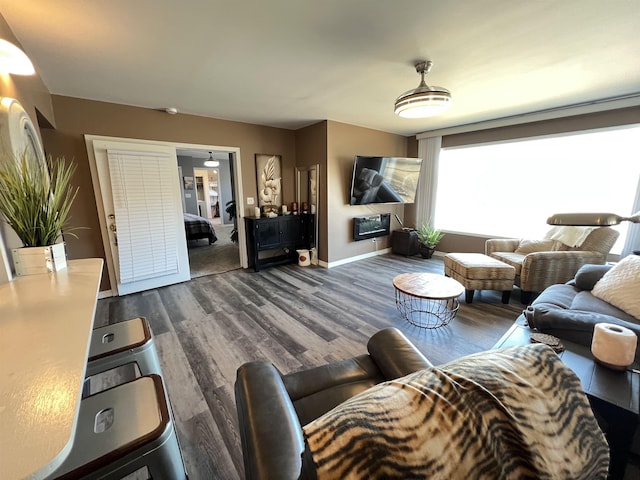 living room featuring dark wood-type flooring