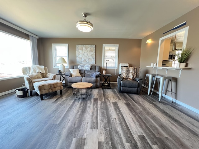 living room with dark hardwood / wood-style flooring and a wealth of natural light