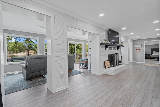 living room with a fireplace, light hardwood / wood-style flooring, and ornamental molding