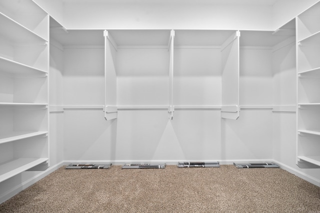 walk in closet with carpet flooring