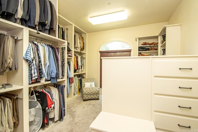 walk in closet with light colored carpet