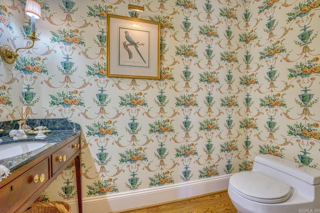 bathroom with vanity, wood-type flooring, and toilet