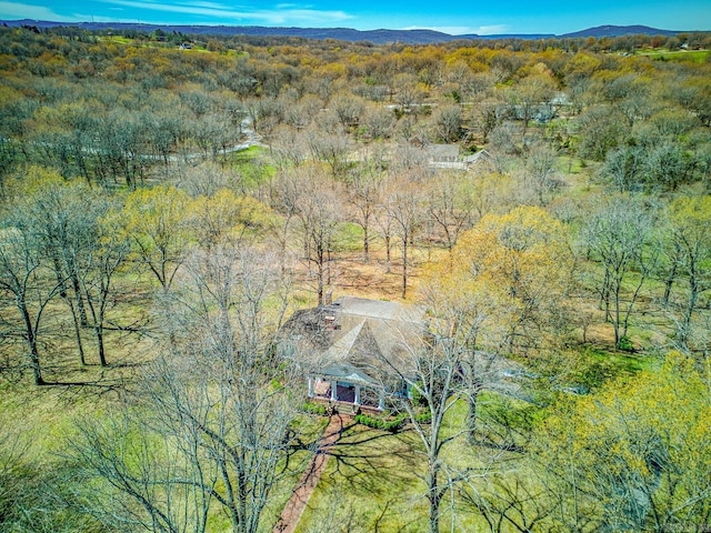 birds eye view of property featuring a mountain view