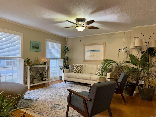 living room featuring crown molding, ceiling fan, hardwood / wood-style floors, and a textured ceiling