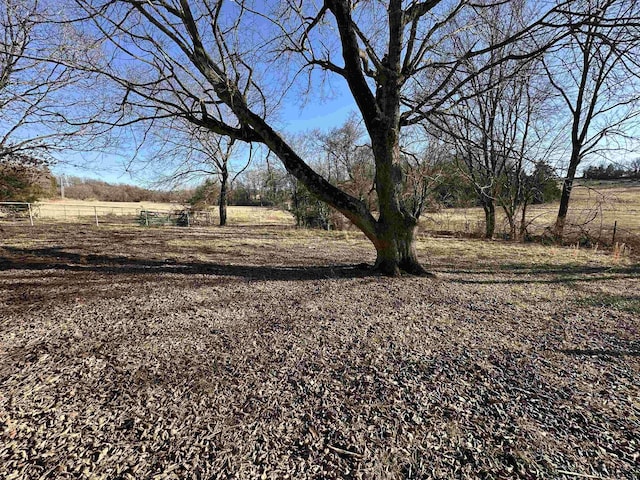 view of yard with a rural view