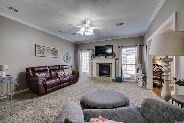 carpeted living room featuring crown molding, a fireplace, a textured ceiling, and plenty of natural light