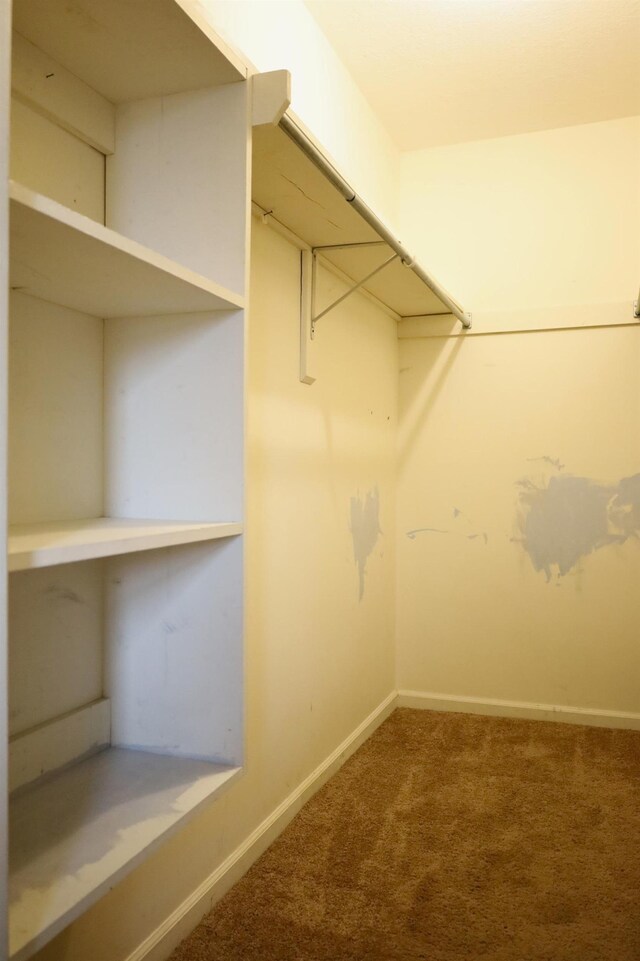 spacious closet featuring carpet floors