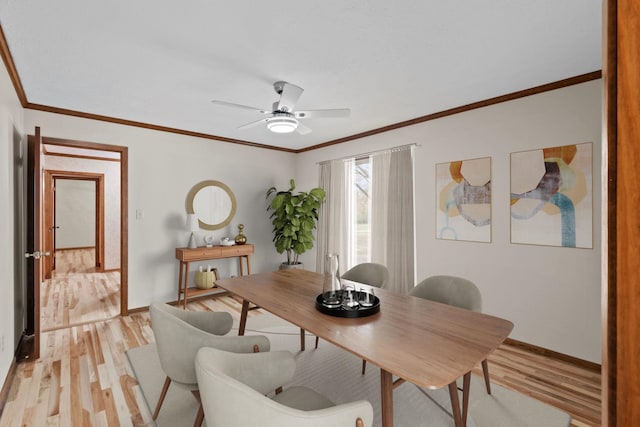 dining space featuring crown molding, ceiling fan, and light wood-type flooring