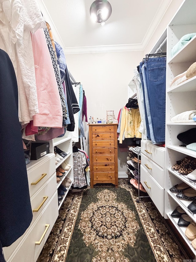 view of spacious closet