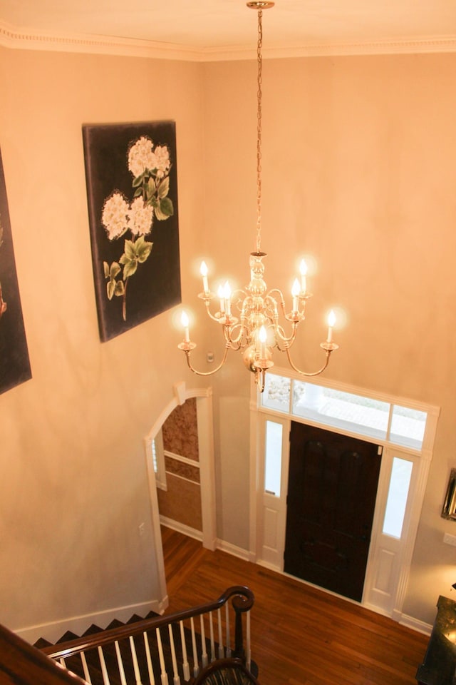 foyer featuring an inviting chandelier, crown molding, dark hardwood / wood-style floors, and a healthy amount of sunlight