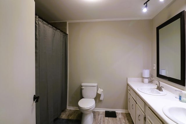 bathroom featuring wood-type flooring, toilet, and vanity