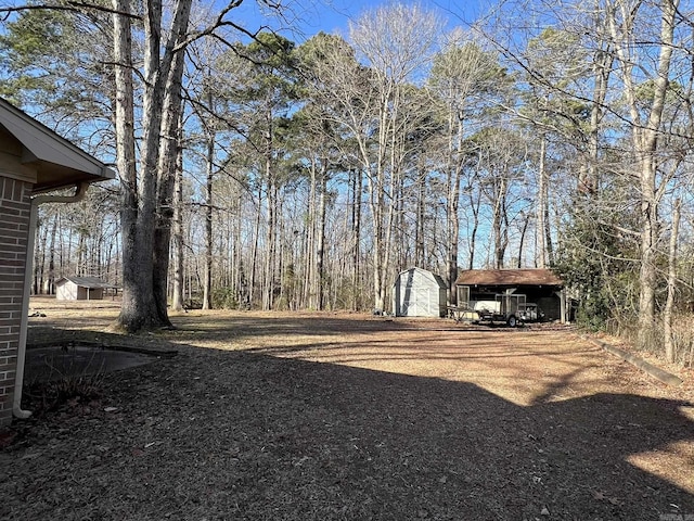 view of yard featuring a shed