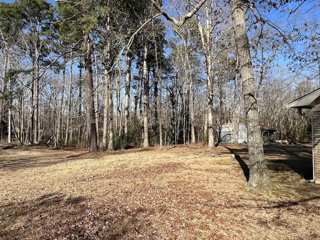 view of yard with a storage unit